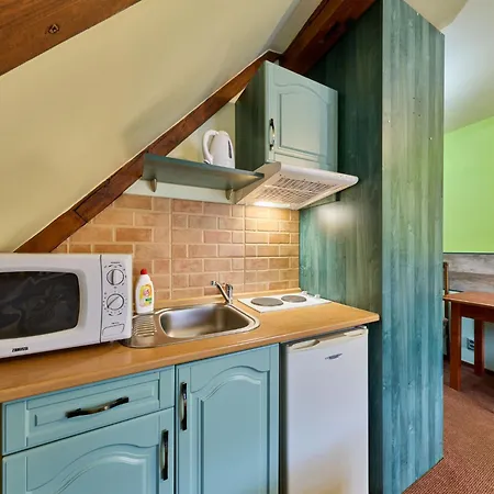 Apartment Roky - Dolni Namesti-4 By Interhome *
