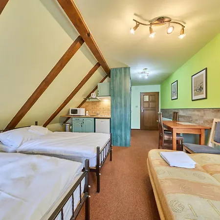 Roky - Dolni Namesti-4 By Interhome Appartement *