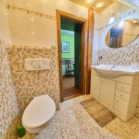 Apartment Roky - Dolni Namesti-4 By Interhome Rokytnice nad Jizerou